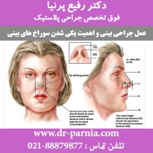 یکی شدن سوراخ های بینی